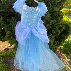 Cinderella dress from the Disney Store